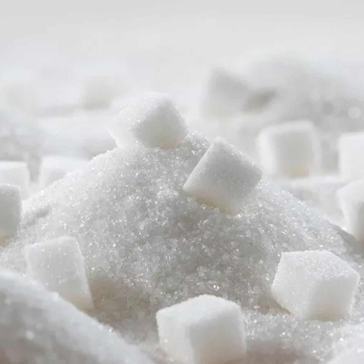 Sugar cubes and granulated sugar in a giant pile