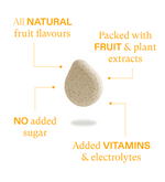 Coconut, Mango, & Passionflower